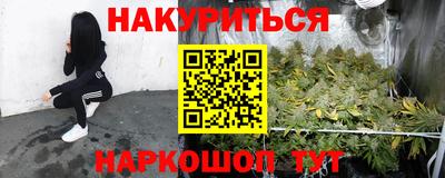 молекула духа Новозыбков