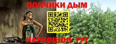 молекула духа Новозыбков