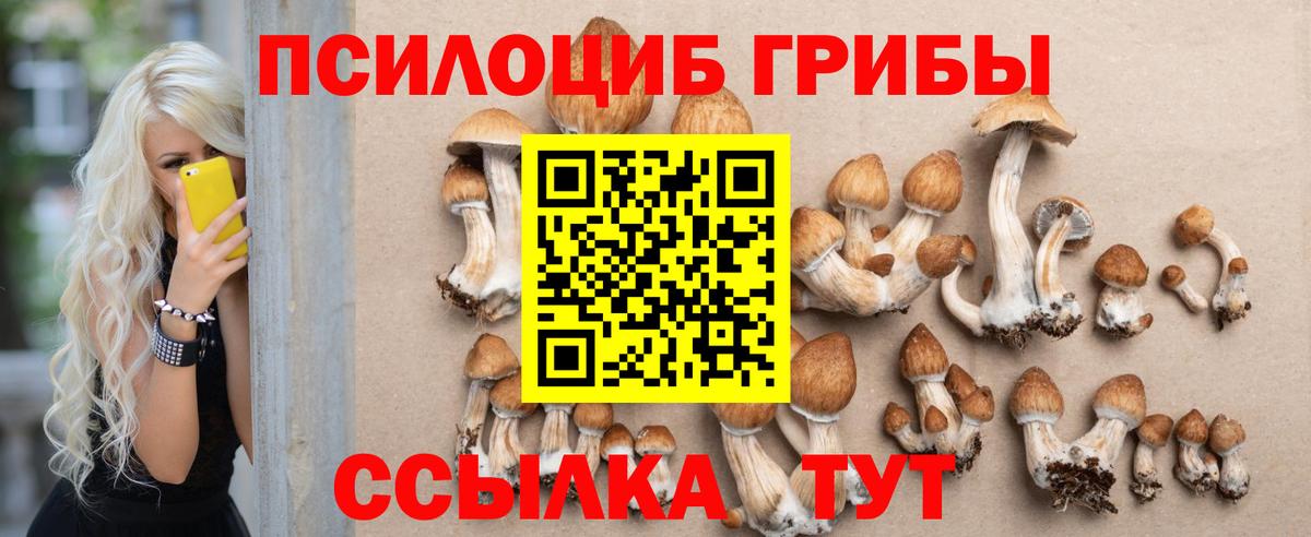 Рыбинск  Псилоцибиновые грибы Cubensis  Вход с VPN 